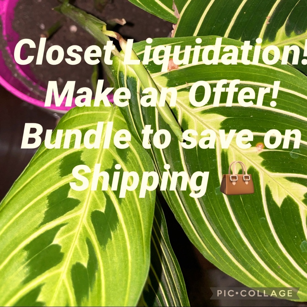 Closet Sale and Liquidation! Make an Offer!